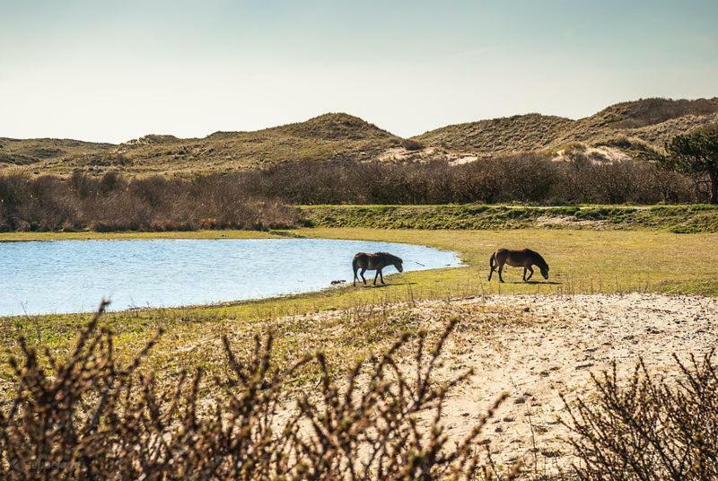 Het Hoekhuisje Egmond aan Zee Esterno foto